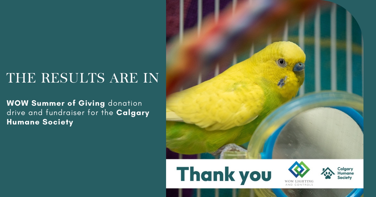 The Results Are In! Wow Summer of Giving: Calgary Humane Society